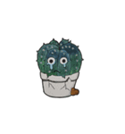 Cactus Land（個別スタンプ：12）