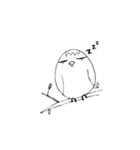 Just a parrot.（個別スタンプ：10）