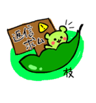 枝豆くまさん（個別スタンプ：37）