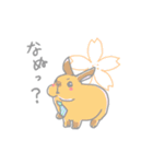 兎に角うさぎ様（個別スタンプ：8）