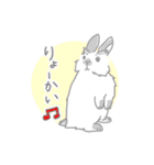 兎に角うさぎ様（個別スタンプ：11）