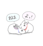 兎に角うさぎ様（個別スタンプ：17）