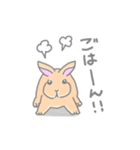 兎に角うさぎ様（個別スタンプ：29）