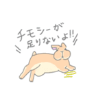 兎に角うさぎ様（個別スタンプ：30）