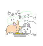 兎に角うさぎ様（個別スタンプ：34）