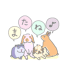 兎に角うさぎ様（個別スタンプ：39）