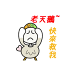 Funny Bird, Dodow（個別スタンプ：38）