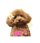 ねねスタ 1（個別スタンプ：1）