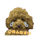 ねねスタ 1（個別スタンプ：2）