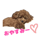 ねねスタ 1（個別スタンプ：4）