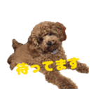 ねねスタ 1（個別スタンプ：5）