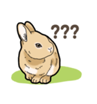 もふもふウサギ 3（個別スタンプ：29）