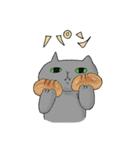 クリーミーくまさんと猫のるんちゃん 3（個別スタンプ：7）