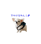 子犬のむぎとこめ（個別スタンプ：10）