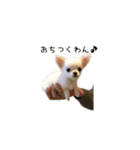 子犬のむぎとこめ（個別スタンプ：14）
