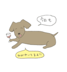 やたら優しいららつー（個別スタンプ：20）