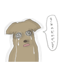 やたら優しいららつー（個別スタンプ：21）