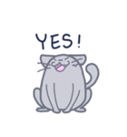 Meow！ JiaCat（個別スタンプ：6）