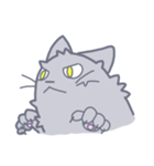 Meow！ JiaCat（個別スタンプ：11）