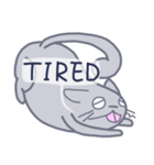 Meow！ JiaCat（個別スタンプ：12）