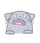 Meow！ JiaCat（個別スタンプ：17）