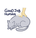 Meow！ JiaCat（個別スタンプ：23）