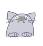 Meow！ JiaCat（個別スタンプ：26）