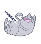 Meow！ JiaCat（個別スタンプ：34）