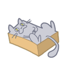 Meow！ JiaCat（個別スタンプ：35）