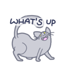 Meow！ JiaCat（個別スタンプ：38）