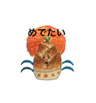 ファンタスティックベジ（個別スタンプ：15）