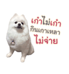 Chimi the comics（個別スタンプ：3）