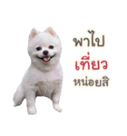 Chimi the comics（個別スタンプ：7）