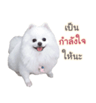 Chimi the comics（個別スタンプ：8）
