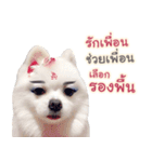 Chimi the comics（個別スタンプ：9）