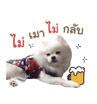 Chimi the comics（個別スタンプ：11）