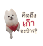 Chimi the comics（個別スタンプ：13）