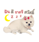 Chimi the comics（個別スタンプ：14）