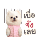 Chimi the comics（個別スタンプ：15）