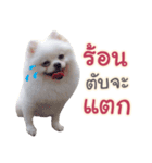 Chimi the comics（個別スタンプ：17）