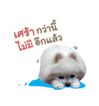 Chimi the comics（個別スタンプ：18）