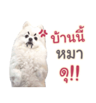 Chimi the comics（個別スタンプ：20）