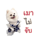 Chimi the comics（個別スタンプ：21）