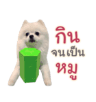 Chimi the comics（個別スタンプ：22）