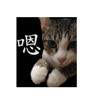 pomelo say（個別スタンプ：2）