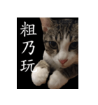 pomelo say（個別スタンプ：3）