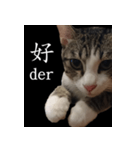 pomelo say（個別スタンプ：7）