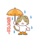 梅雨＆夏に使える〜甘えん坊のSH（個別スタンプ：2）