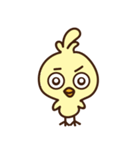 Chicken daily（個別スタンプ：1）