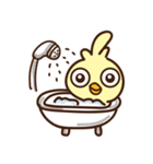 Chicken daily（個別スタンプ：6）